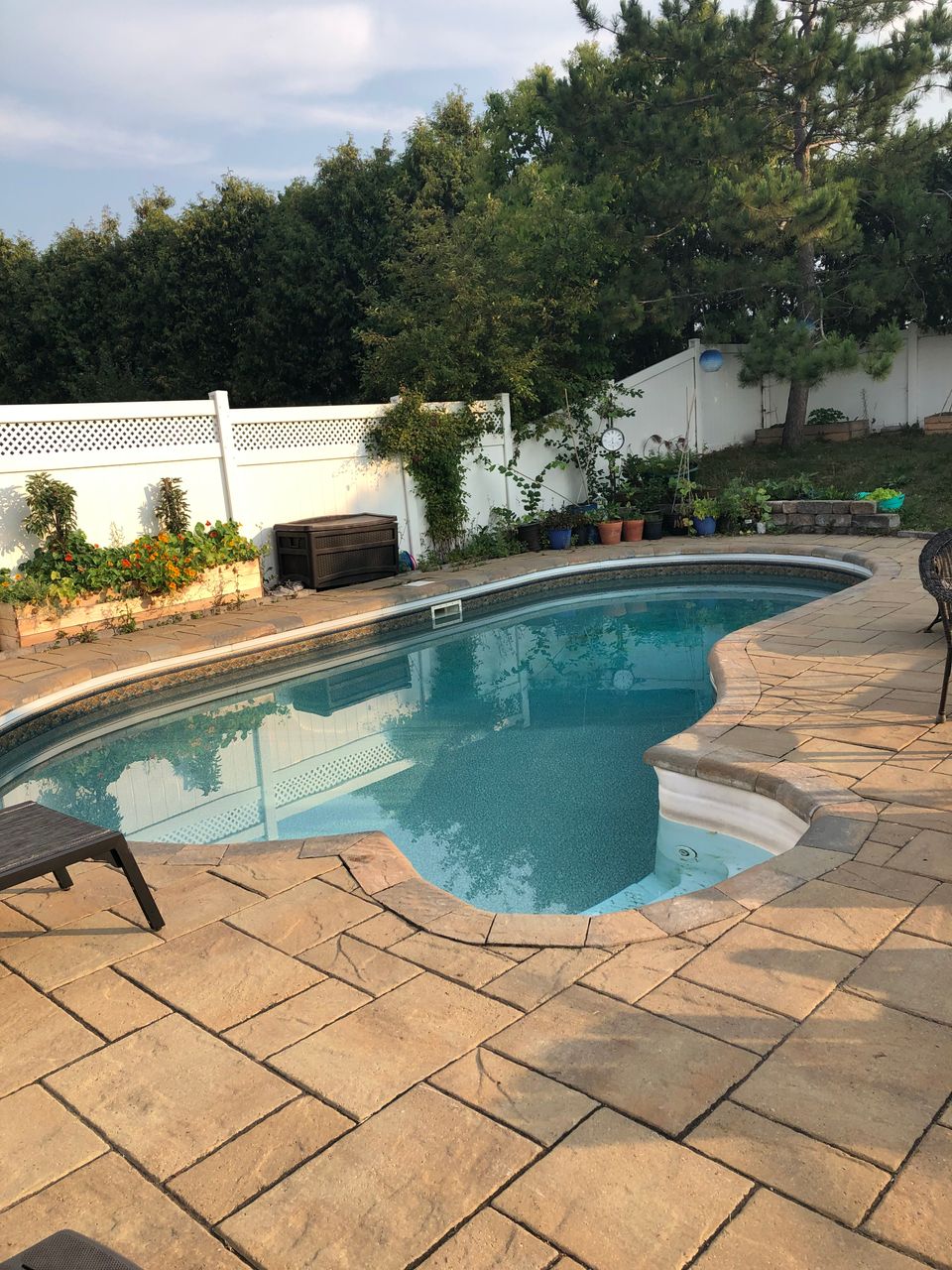 A curved in-ground pool surrounded by gold-brown stone in late afternoon light, edged with flowers and greenery.